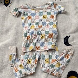 Little sleepies two piece Animal Print Kids Pajamas